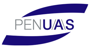 Pen UAS Main